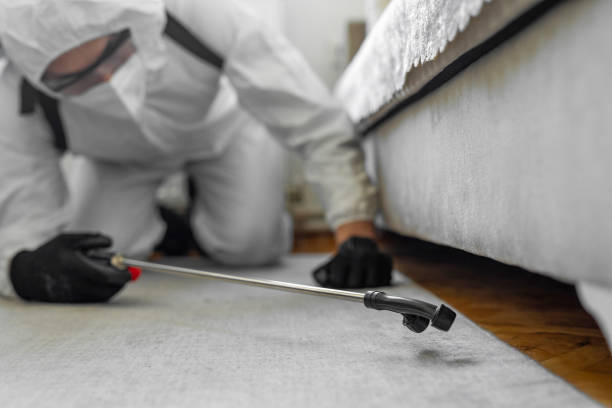 Professional Bed Bug Control technician working in Bristol, WI